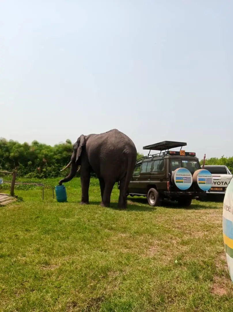 Elephant approaching the GRW Travels Land Cruiser at Akagera National Park