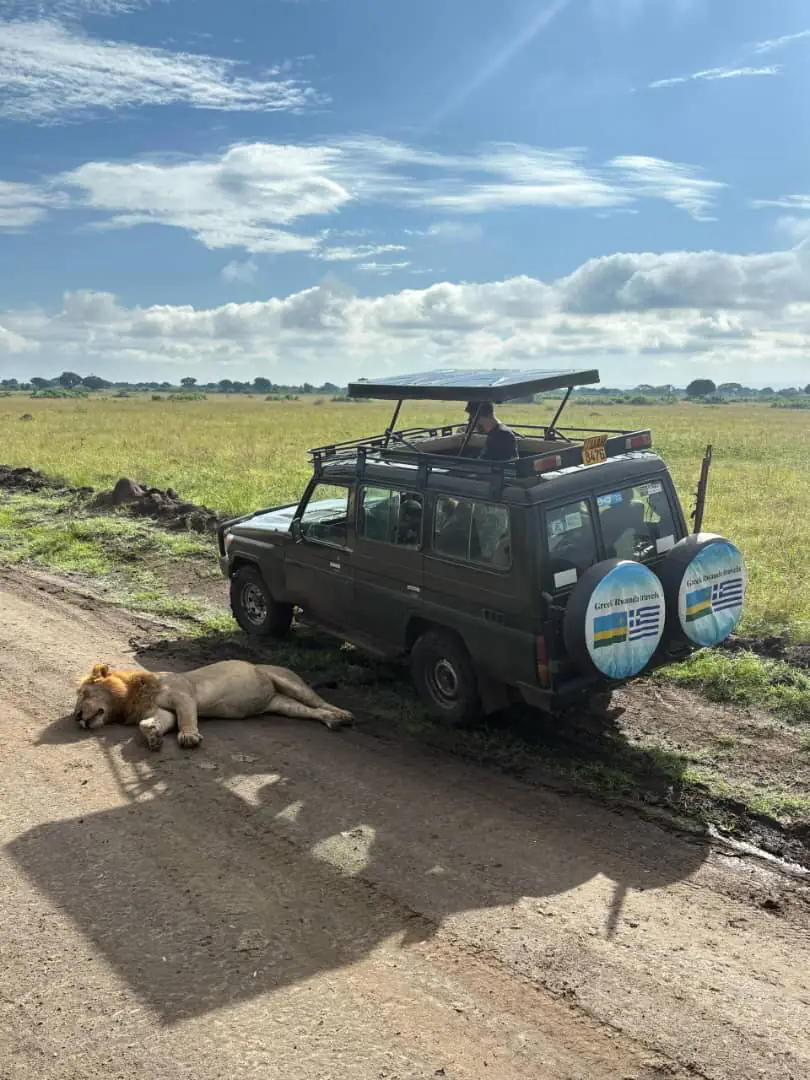 Lion resting next to the GRW Travels jeep at Akagera National Park